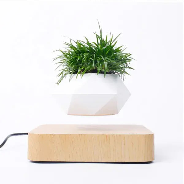 Levitating Plant Pot Desk Decor