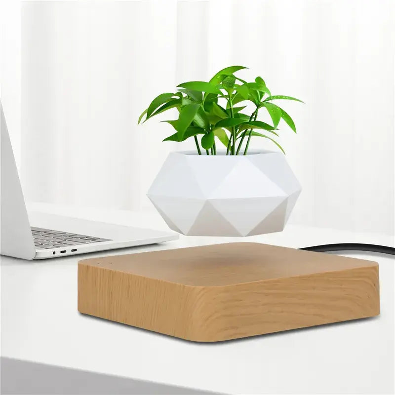 Levitating Plant Pot Desk Decor