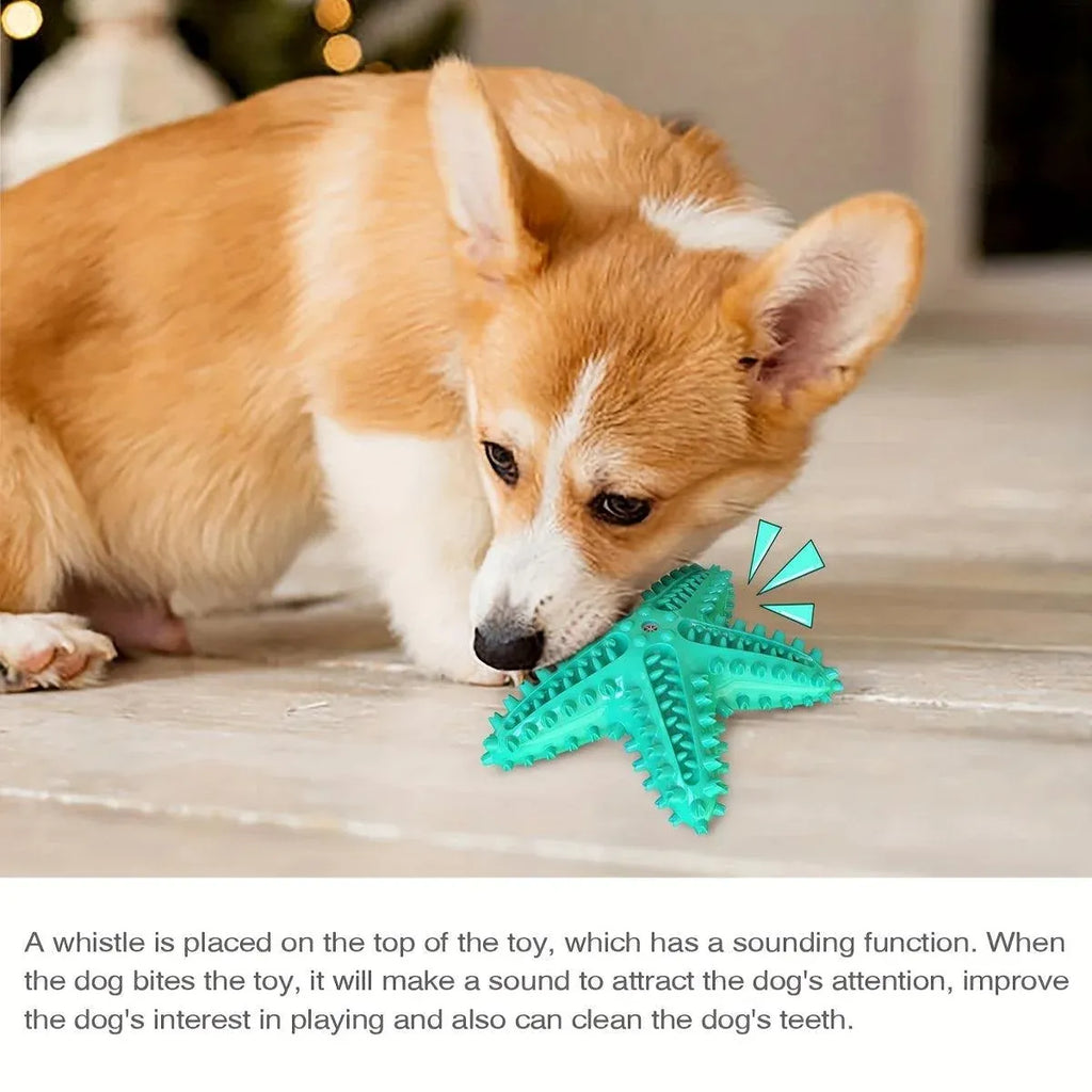 Pet Starfish Floating Dog Toy Audible Water Toy for Dogs Interactive Play Fun - Lake Blue