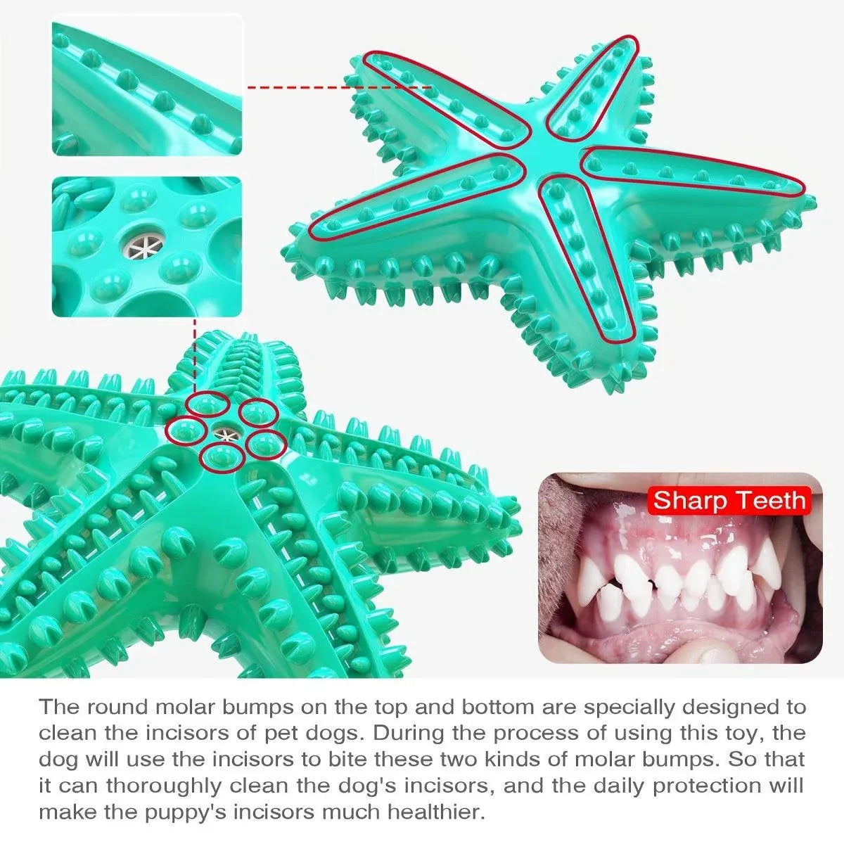 Pet Starfish Floating Dog Toy Audible Water Toy for Dogs Interactive Play Fun - Lake Blue