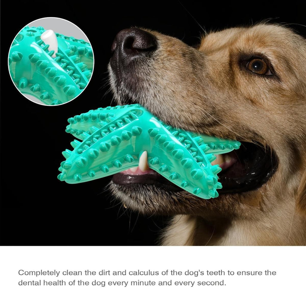 Pet Starfish Floating Dog Toy Audible Water Toy for Dogs Interactive Play Fun - Lake Blue