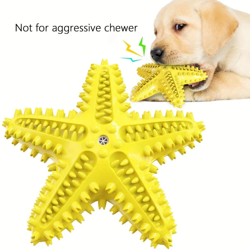 Pet Starfish Floating Dog Toy Audible Water Toy for Dogs Interactive Play Fun - Lake Blue