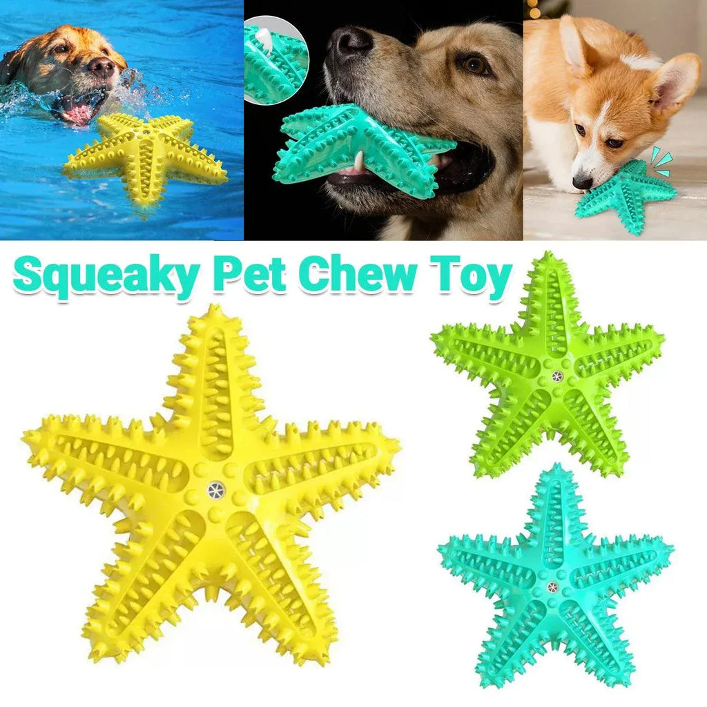 Pet Starfish Floating Dog Toy Audible Water Toy for Dogs Interactive Play Fun - Lake Blue