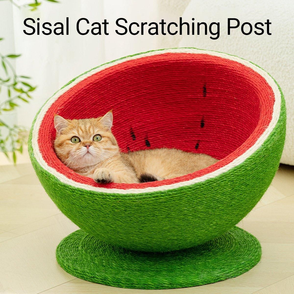 Watermelon Cat Scratching Pot Board All in One Scratcher Toy for Cats Kitten