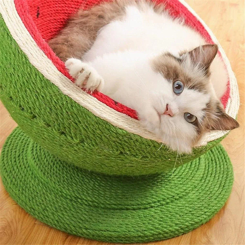 Watermelon Cat Scratching Pot Board All in One Scratcher Toy for Cats Kitten
