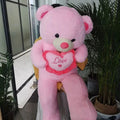Giant Plush Valentines Love Bear Pillow
