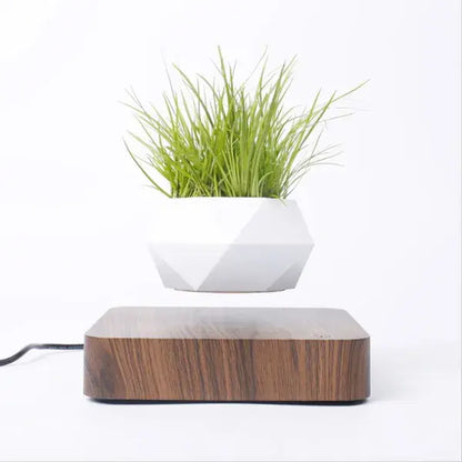 Levitating Plant Pot Desk Decor