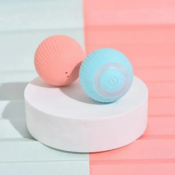Rolling pet ball in use
