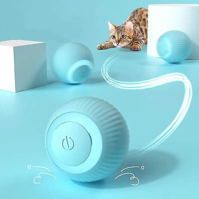 Interactive moving pet toy ball