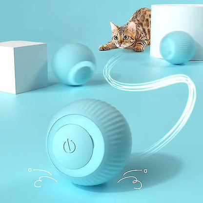 Interactive moving pet toy ball