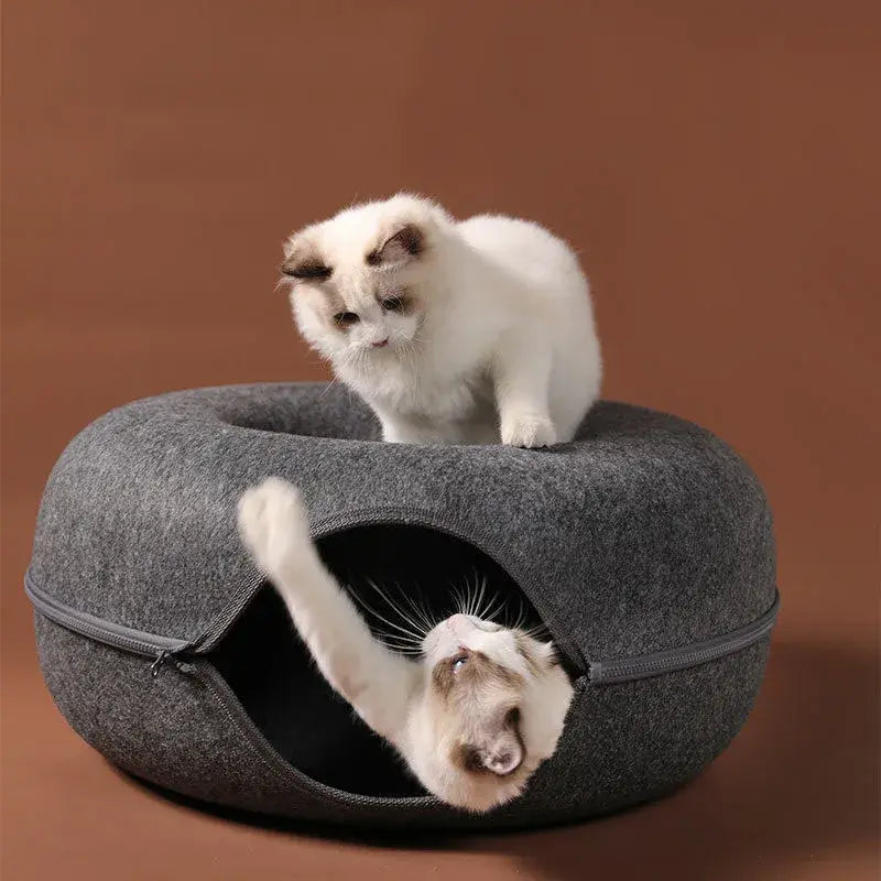 Cat tunnel bed detail