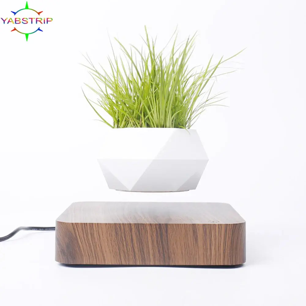 Levitating Plant Pot Desk Decor