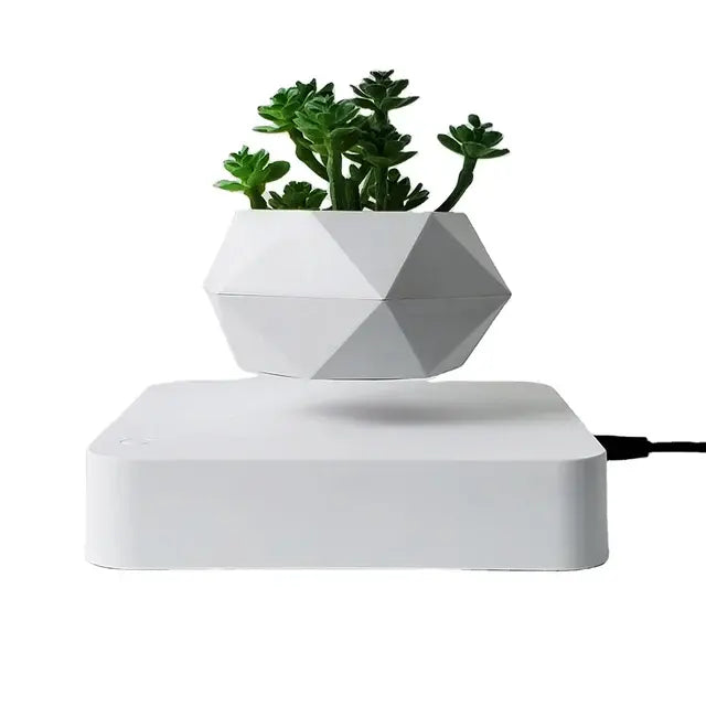 Levitating Plant Pot Desk Decor