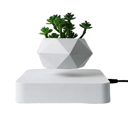 Levitating Plant Pot Desk Decor