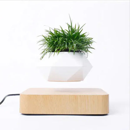 Levitating Plant Pot Desk Decor